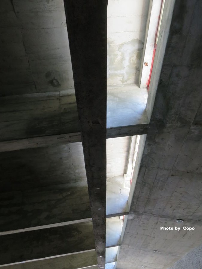 IMG_4454.JPG IMG_4454.JPG