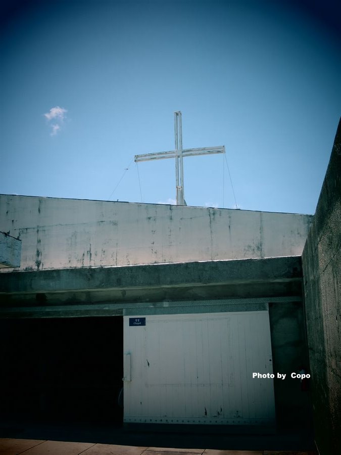 IMG_4484.JPG IMG_4484.JPG