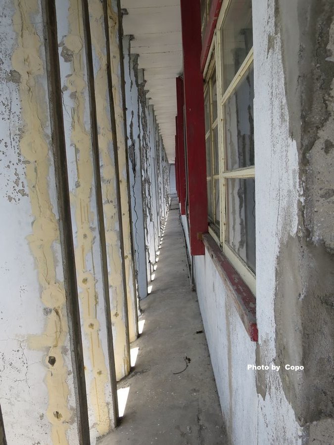 IMG_4496.JPG IMG_4496.JPG