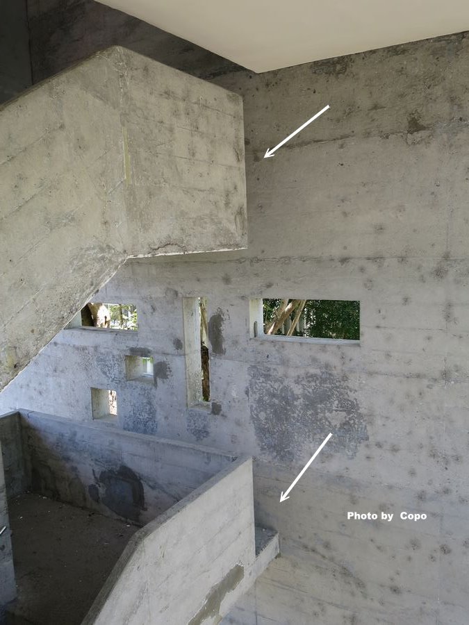 IMG_4498.JPG IMG_4498.JPG