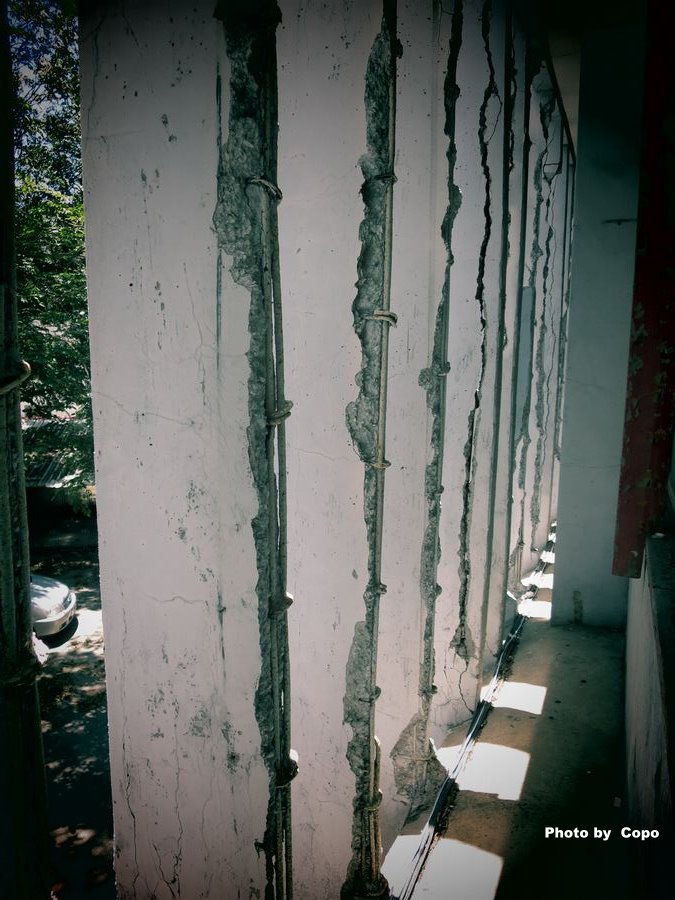 IMG_4507.JPG IMG_4507.JPG