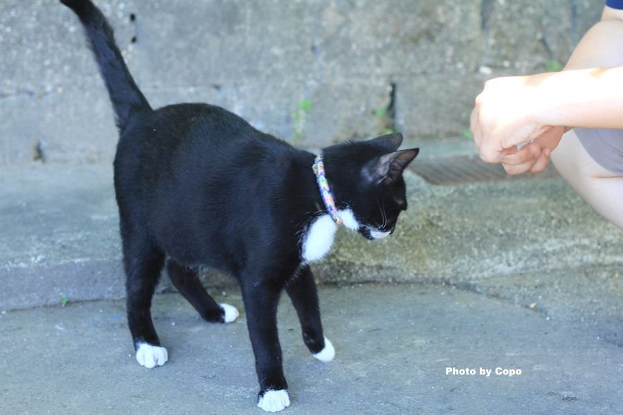 IMG_2587.JPG IMG_2587.JPG