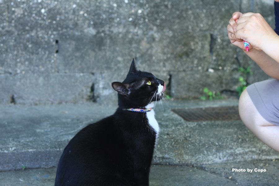 IMG_2589.JPG IMG_2589.JPG