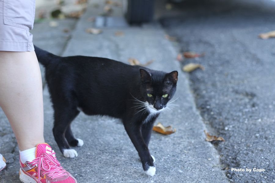 IMG_2594.JPG IMG_2594.JPG