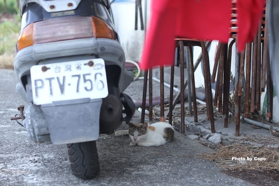 IMG_2612.JPG IMG_2612.JPG