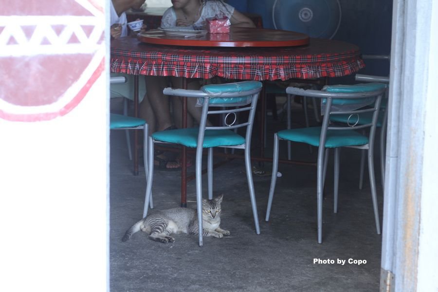 IMG_2614.JPG IMG_2614.JPG