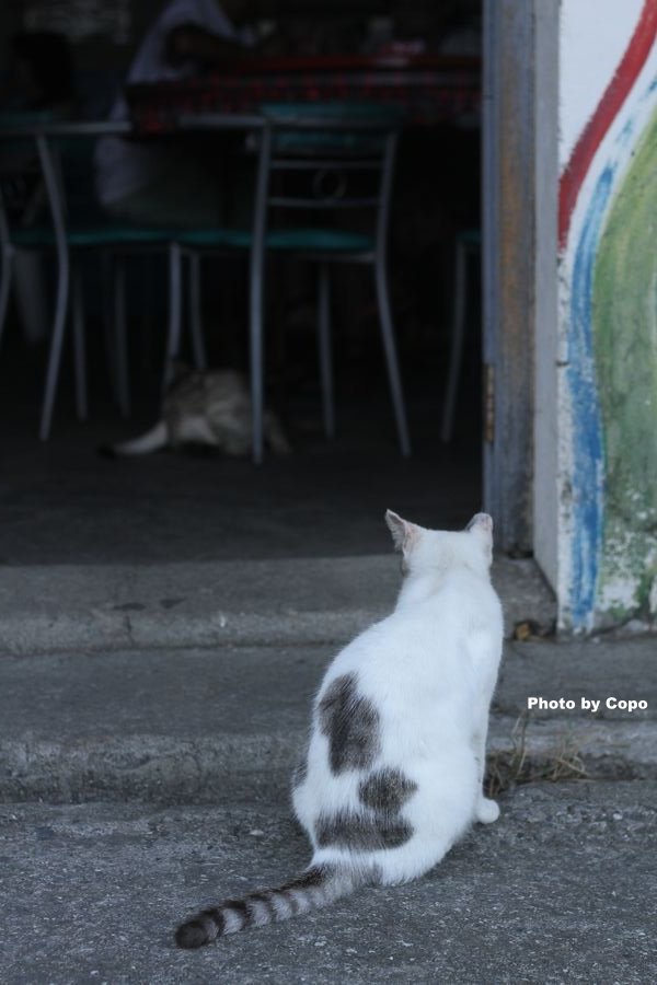 IMG_2615.JPG IMG_2615.JPG