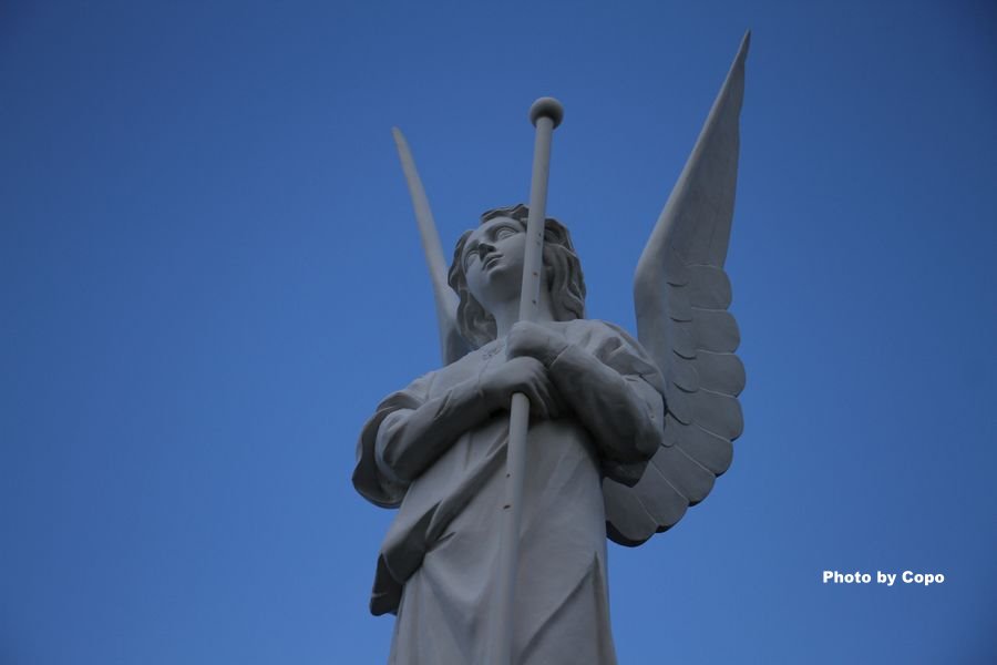 IMG_2641.JPG IMG_2641.JPG