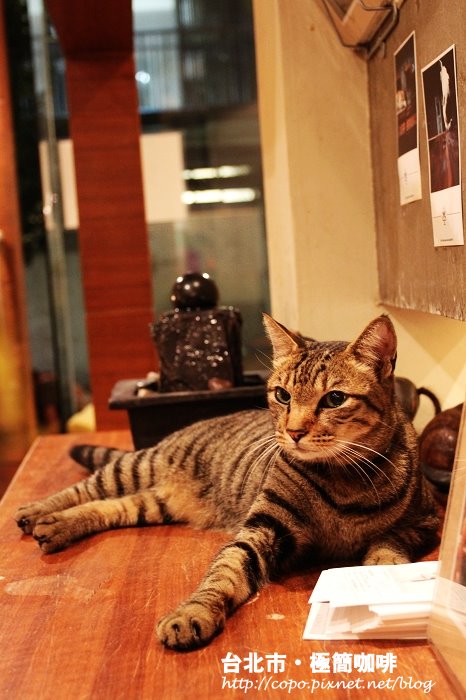 IMG_5333.JPG IMG_5333.JPG