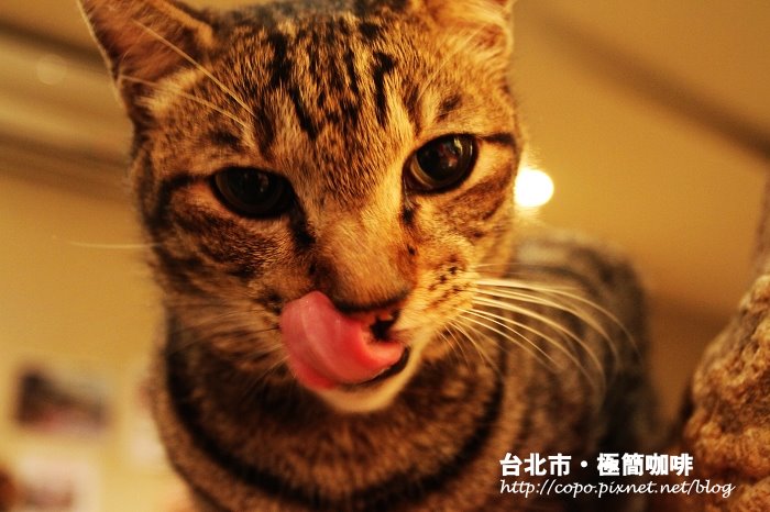 IMG_5377.JPG IMG_5377.JPG