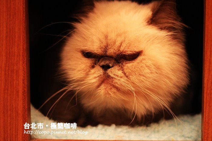 IMG_5293.JPG IMG_5293.JPG