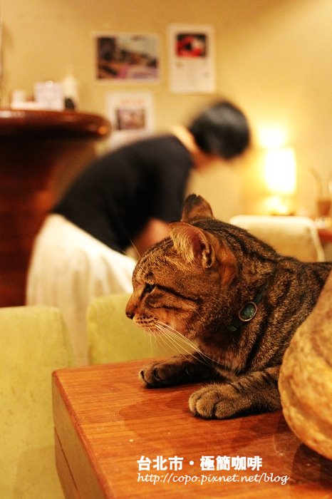 IMG_5372.JPG IMG_5372.JPG