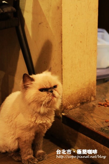 IMG_5262.JPG IMG_5262.JPG