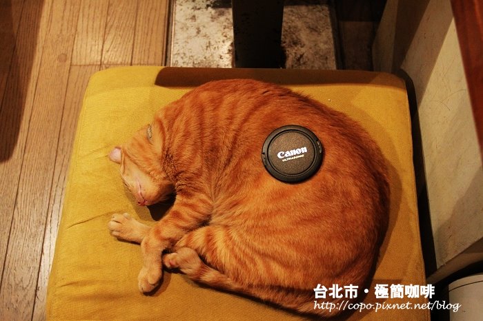 IMG_5448.JPG IMG_5448.JPG