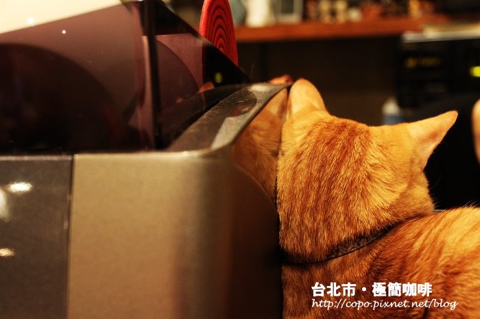 IMG_5324.JPG IMG_5324.JPG