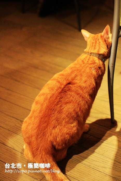 IMG_5298.JPG IMG_5298.JPG