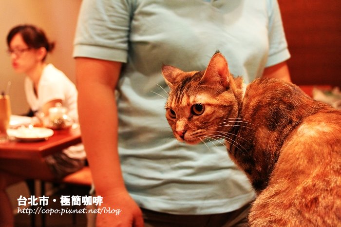 IMG_5431.JPG IMG_5431.JPG