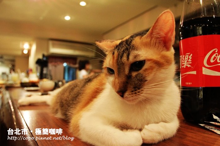 IMG_5340.JPG IMG_5340.JPG