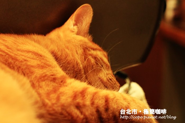 IMG_5256.JPG IMG_5256.JPG