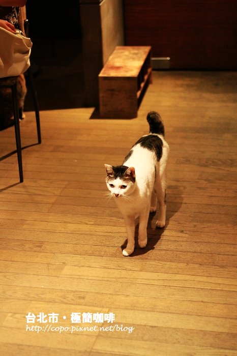 IMG_5296.JPG IMG_5296.JPG