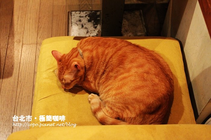 IMG_5350.JPG IMG_5350.JPG