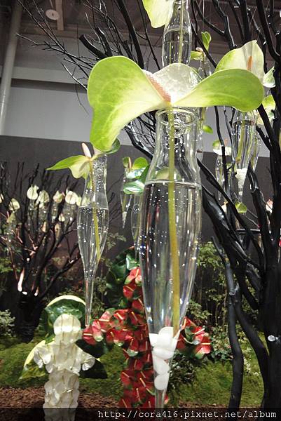 DSC02115.jpg DSC02115.jpg