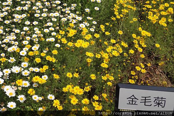 DSC02015.jpg DSC02015.jpg