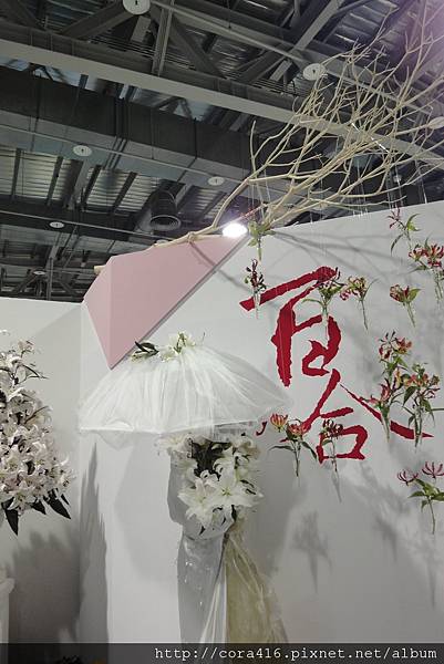 DSC02099.jpg DSC02099.jpg