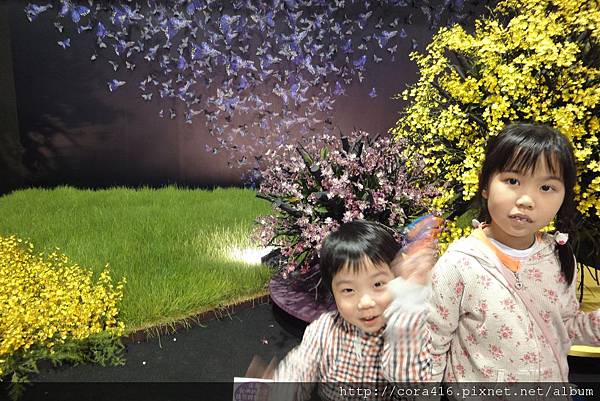 DSC02071.jpg DSC02071.jpg