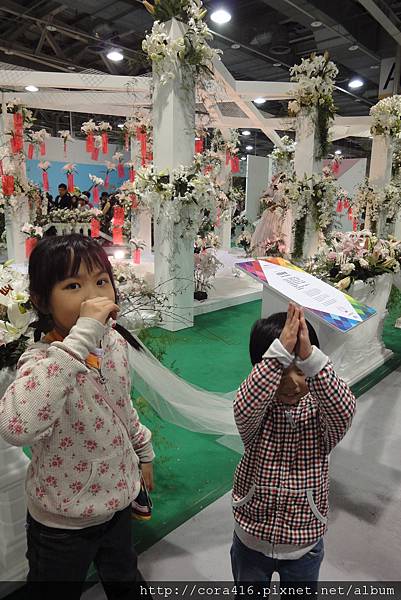 DSC02104.jpg DSC02104.jpg