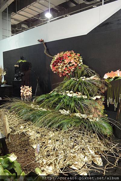 DSC02121.jpg DSC02121.jpg