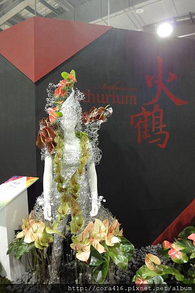 DSC02119.jpg DSC02119.jpg