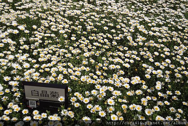 DSC02016.jpg DSC02016.jpg