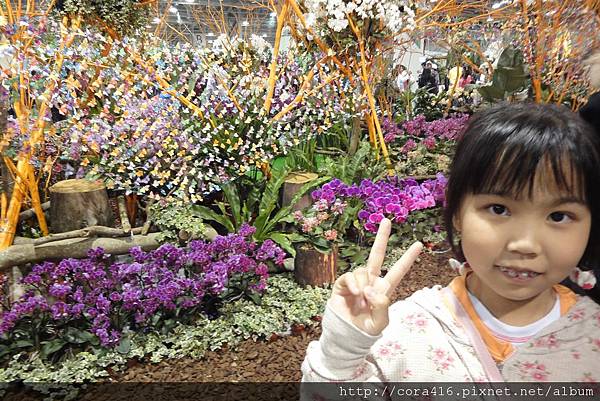 DSC02069.jpg DSC02069.jpg