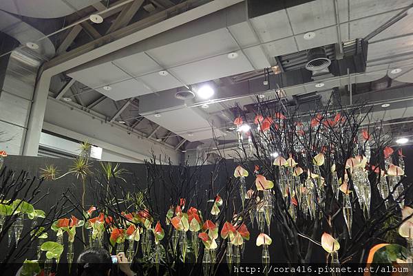 DSC02110.jpg DSC02110.jpg