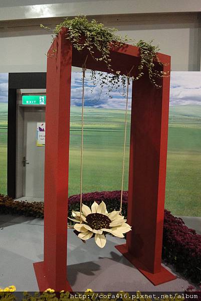 DSC02078.jpg DSC02078.jpg