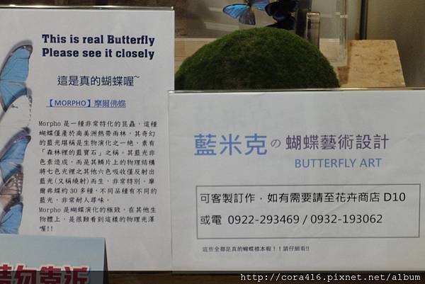 DSC02137.jpg DSC02137.jpg