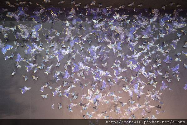 DSC02073.jpg DSC02073.jpg