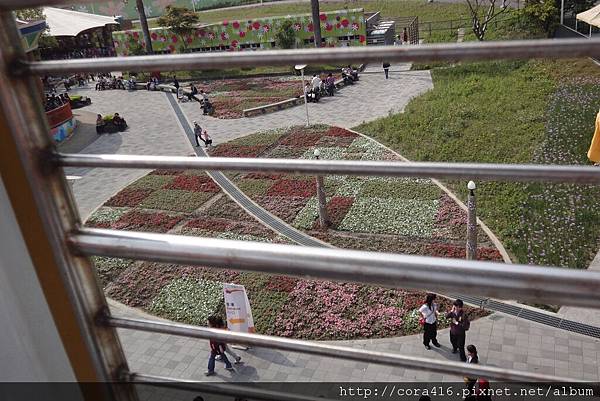 DSC02025.jpg DSC02025.jpg