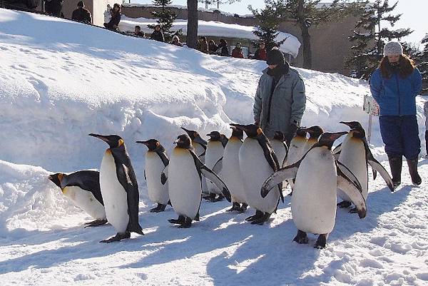 P2253846 (800x534) P2253846 (800x534)