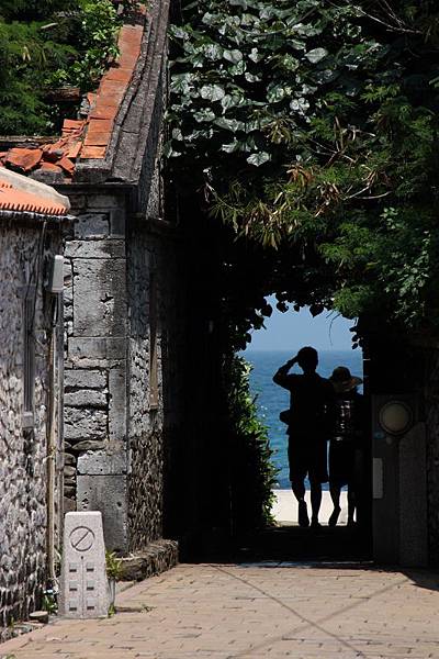 IMG_9778 (533x800).jpg