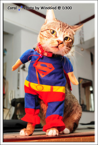 嚇...有閃燈!!難不成被惡勢力發現了