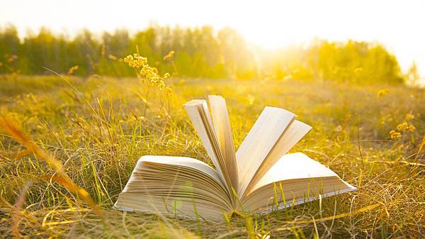 sun and book.jpg sun and book.jpg