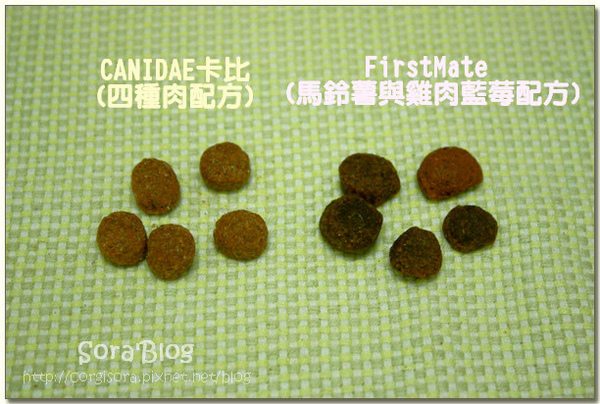 IMG_3031.JPG IMG_3031.JPG