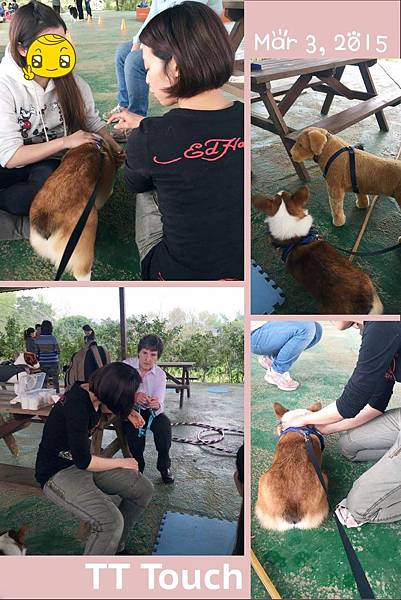 11034831_838837586189166_124703281_o 11034831_838837586189166_124703281_o