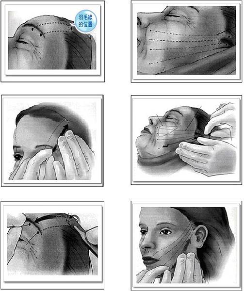 羽毛拉皮10 羽毛拉皮10
