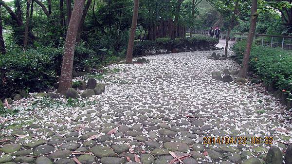 1030422053三坑老街-鐵馬道.JPG 1030422053三坑老街-鐵馬道.JPG