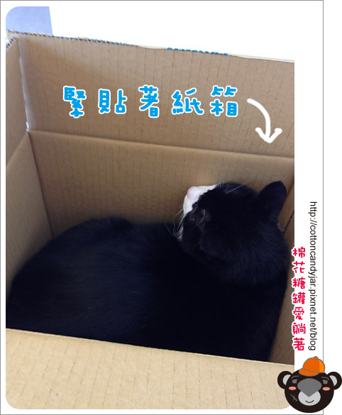 01紙箱 01紙箱