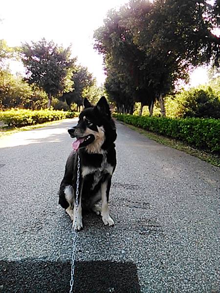 CYMERA_20141205_144843 CYMERA_20141205_144843