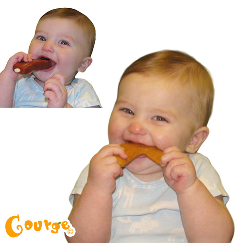 趣味可愛滿分~美國Little Toader物固齒器